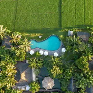 Arya Ubud (Bali)