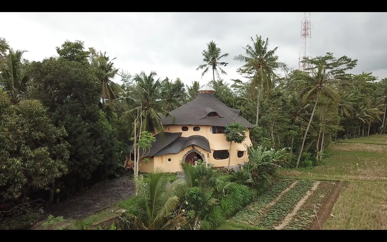 Villa Nautilus Treehouse Ubud